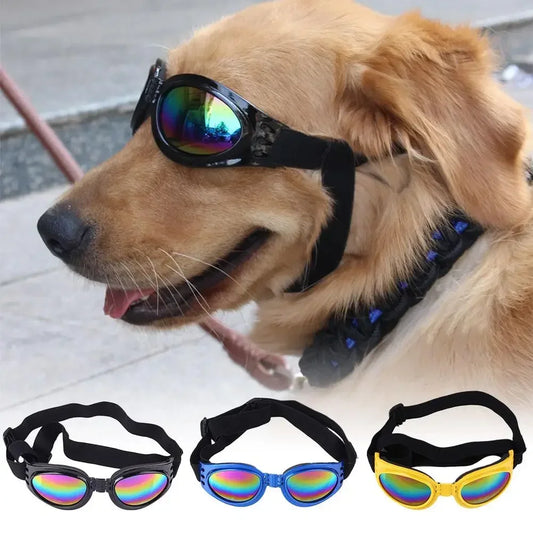 Pet Glasses 6 Color, Sunglasses Dog Cat